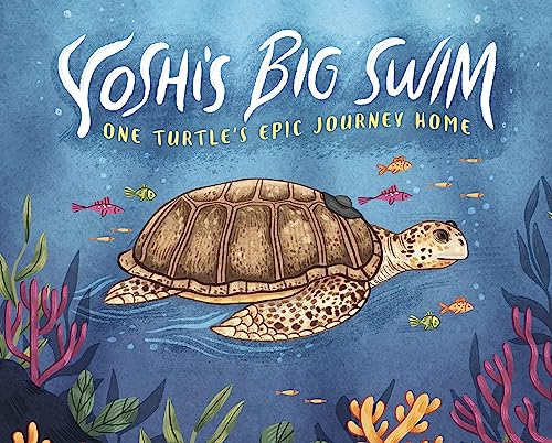 Yoshi's Big Swim: One Turtle's Epic Journey Home von Raintree