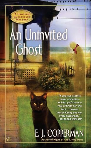 AN Uninvited Ghost (A Haunted Guesthouse Mystery, Band 2)
