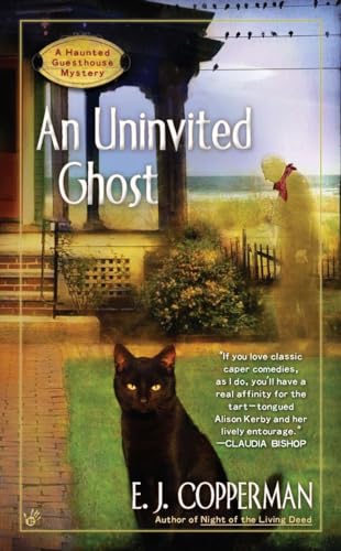 AN Uninvited Ghost (A Haunted Guesthouse Mystery, Band 2)
