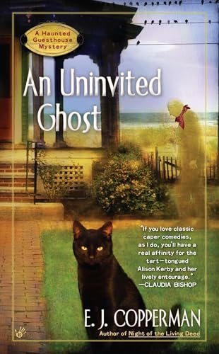 AN Uninvited Ghost (A Haunted Guesthouse Mystery, Band 2)