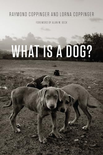 WHAT IS A DOG