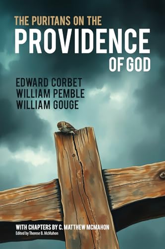 The Puritans on the Providence of God The Puritans on the Providence of God von Puritan Publications