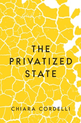 The Privatized State von Princeton University Press