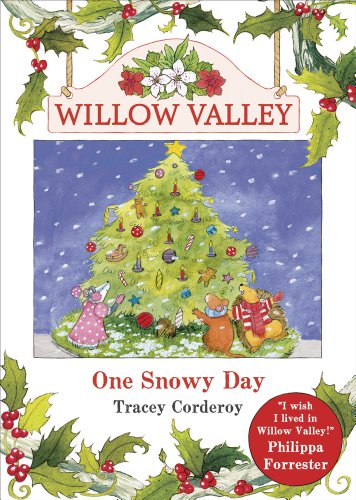 One Snowy Day (Willow Valley, Band 5)