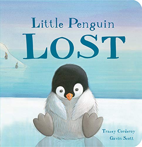 Little Penguin Lost