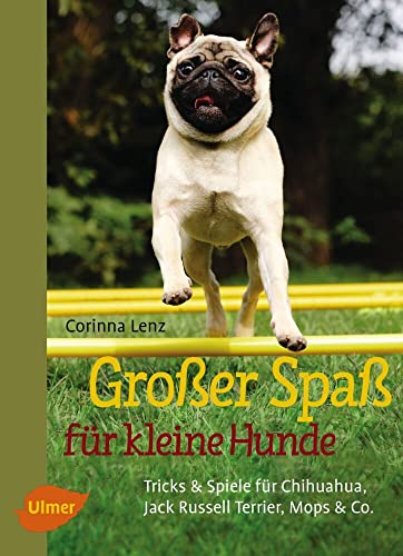 Großer Spaß für kleine Hunde: Tricks & Spiele für Chihuahua, Jack Russell Terrier, Mops & Co. von Ulmer Eugen Verlag