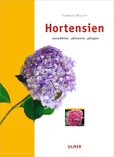 Hortensien: Auswählen, pflanzen, pflegen