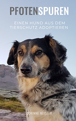 Pfotenspuren: Einen Hund aus dem Tierschutz adoptieren