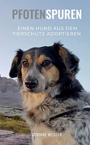 Pfotenspuren: Einen Hund aus dem Tierschutz adoptieren