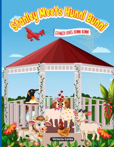 Stanley Meets Hunni Bunni (Stanley's Adventures, Band 2)
