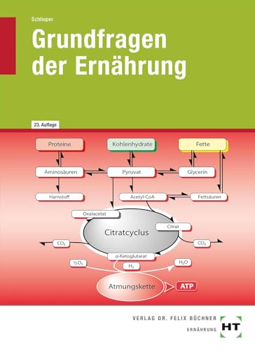 Grundfragen der Ernährung von VERLAG HANDWERK UND TECHNIK