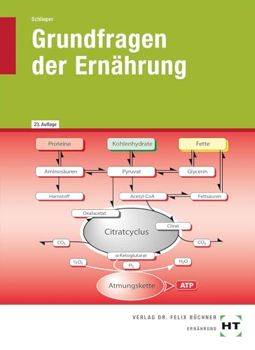 Grundfragen der Ernährung von Handwerk + Technik GmbH