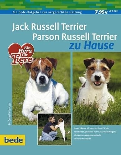 Jack Russell Terrier - Parson Russell Terrier zu Hause: Woran erkenne ich einen seriösen Züchter, woran einen gesunden, zu mir passenden Welpen? Alles Wissenswerte zur Aufzucht im ersten Hundejahr