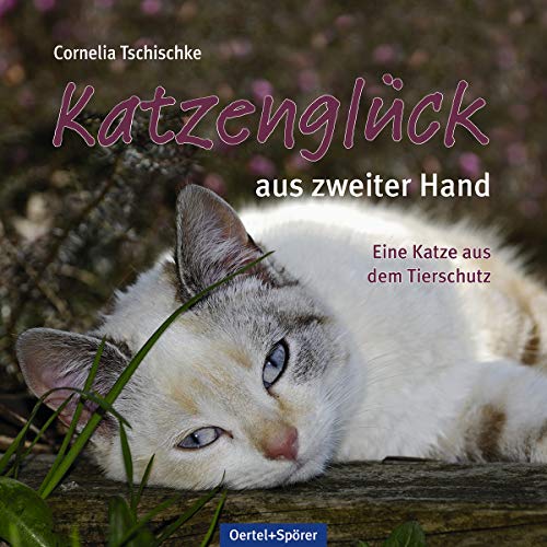 Katzenglück aus zweiter Hand: Eine Katze aus dem Tierschutz von Oertel & Spörer