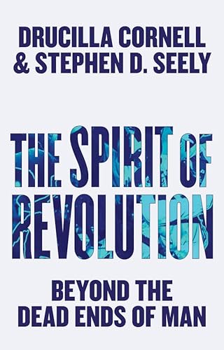The Spirit of Revolution: Beyond the Dead Ends of Man von Polity