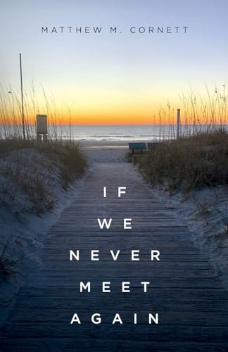 If We Never Meet Again von Palmetto Publishing