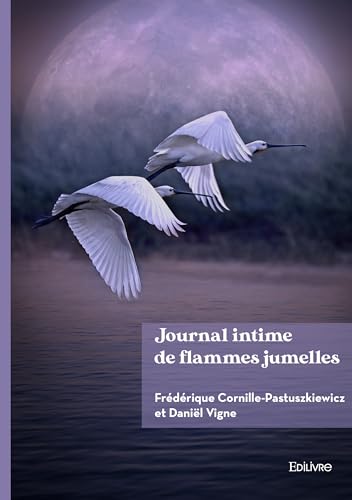 Journal intime de flammes jumelles von Edilivre