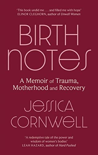 Birth Notes: A Memoir of Trauma, Motherhood and Recovery von Virago