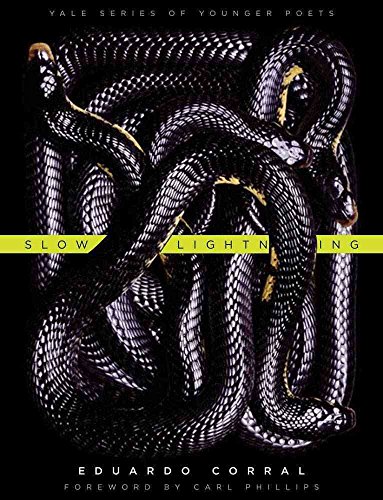 Slow Lightning: Volume 106 (Yale Series of Younger Poets, Band 106)