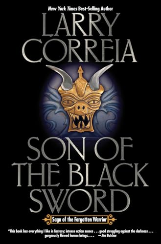 Son of the Black Sword (Volume 1) (Saga of the Forgotten Warrior, Band 1)