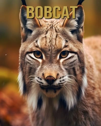 Bobcat: Amazing Picture and Facts About Bobcat for Children's von Independently published
