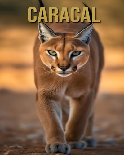 Caracal: Amazing Picture and Facts About Caracal for Children's von Independently published