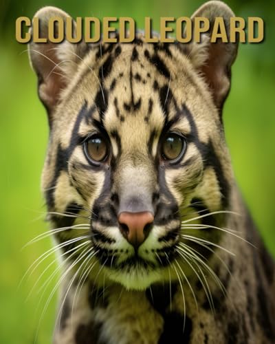 Clouded Leopard: Amazing Picture and Facts About Clouded Leopard for Children's Clouded Leopard: Amazing Picture and Facts About Clouded Leopard for Children's von Independently published