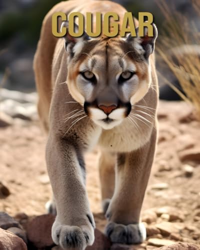 Cougar: Amazing Picture and Facts About Cougar for Children's von Independently published