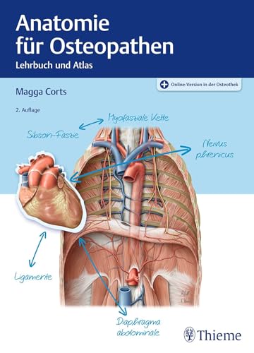 Anatomie für Osteopathen von Thieme