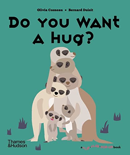 Do You Want a Hug? (A Flip Flap Pop Up Book)