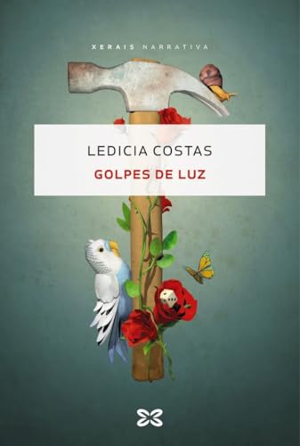 Golpes de luz (EDICIÓN LITERARIA - NARRATIVA) von Xerais