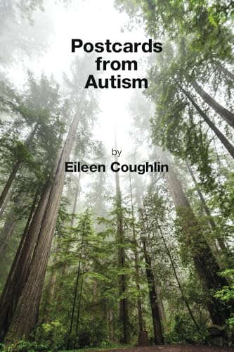 Postcards from Autism Postcards from Autism von Kelsay Books