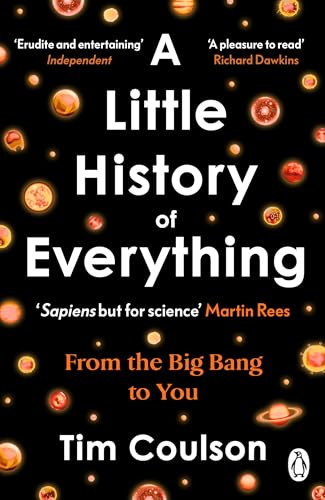A Little History of Everything: From the Big Bang to you (and every moment in between) von Penguin Books Ltd (UK)