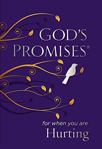 God's Promises for When You are Hurting