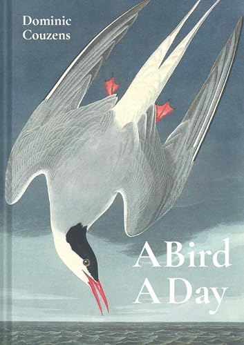 A Bird A Day von Batsford