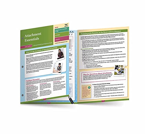 Attachment Essentials: A Mental Health Quick Reference Guide (Norton Quick Reference Guide, Band 0)