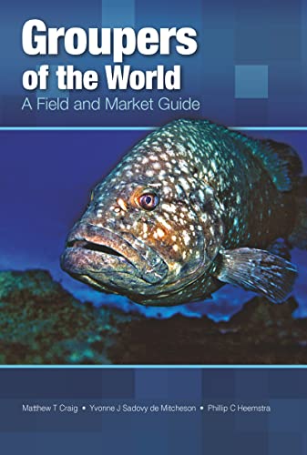 Groupers of the World: A Field and Market Guide von CRC Press