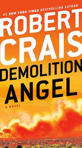 Demolition Angel: A Novel Demolition Angel: A Novel