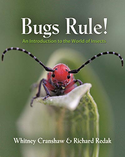 Bugs Rule!: An Introduction to the World of Insects von Princeton University Press