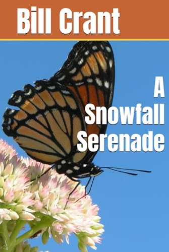 A Snowfall Serenade (Childrens Books) A Snowfall Serenade (Childrens Books) von Independently published