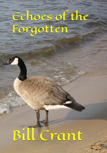 Echoes of the Forgotten (A Break in Diplomacy: The Summit The, Band 1) Echoes of the Forgotten (A Break in Diplomacy: The Summit The, Band 1) von Independently published