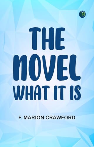 The Novel; What It Is von Anson Street Press