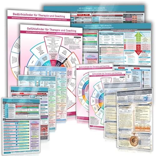 [13er Set] Das Premium-Paket für Therapeuten, Coaches und Practitioner mit 6 Wandpostern (2024) – Klientenprozesse gezielter lenken, Themen leichter ... Werkzeugen – 13teilig, (7x DINA4 + 6x DINA2)