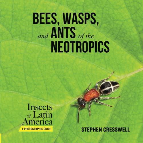 Bees, Wasps, and Ants of the Neotropics (Insects of Latin America, A Photographic Guide, Band 6) von Trox Press