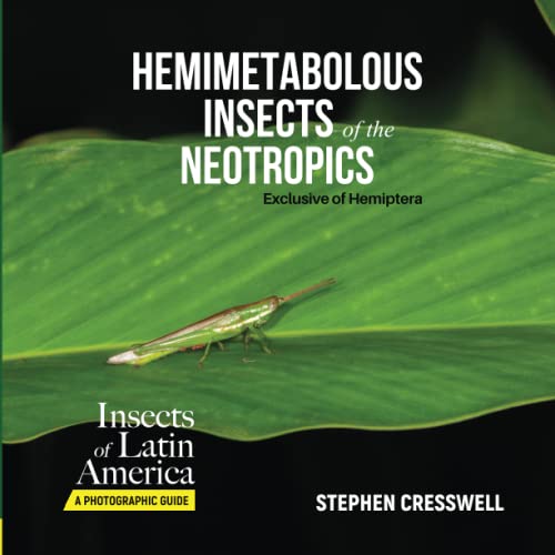 Hemimetabolous Insects of the Neotropics Exclusive of Hemiptera (Insects of Latin America, A Photographic Guide, Band 1) von Trox Press