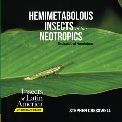 Hemimetabolous Insects of the Neotropics Exclusive of Hemiptera (Insects of Latin America, A Photographic Guide, Band 1)