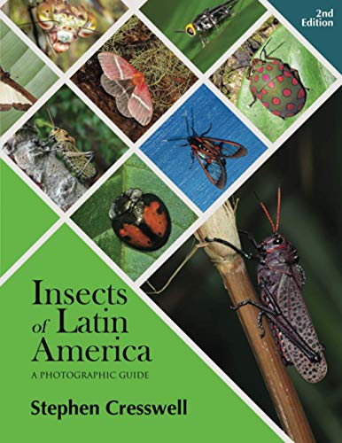 Insects of Latin America: A photographic Guide von Trox Press