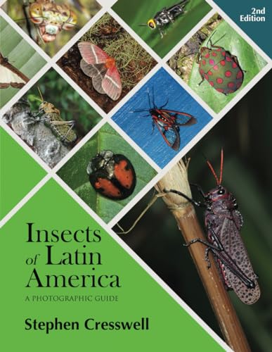 Insects of Latin America: A photographic Guide