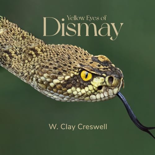 Yellow Eyes of Dismay: Stories from the Darkest Hours von Excel Book Writing