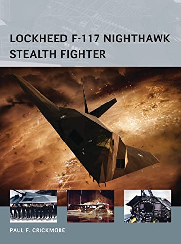 Lockheed F-117 Nighthawk Stealth Fighter (Air Vanguard)